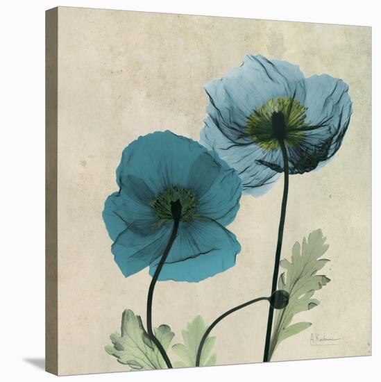 Iceland Poppy Duo 2-Albert Koetsier-Stretched Canvas