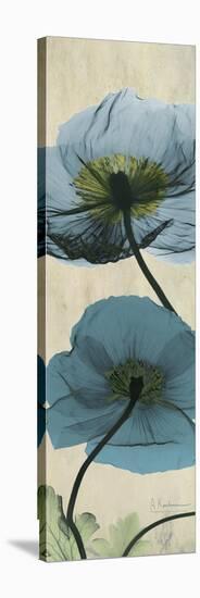 Iceland Poppy Moments-Albert Koetsier-Stretched Canvas