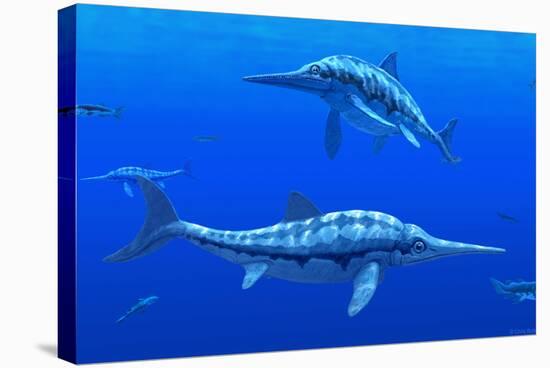 Ichthyosaur Marine Reptiles-Chris Butler-Premier Image Canvas