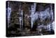 Icicles Hang-Charles Bowman-Premier Image Canvas