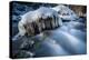 Icicles in the Stream Course in the Winter Wood, Triebtal, Vogtland, Saxony, Germany-Falk Hermann-Premier Image Canvas