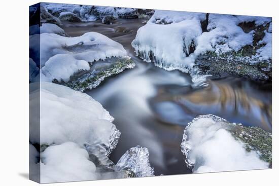 Icicles in the Stream Course in the Winter Wood-Falk Hermann-Premier Image Canvas