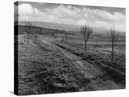Icknield St. Roman Road-null-Premier Image Canvas