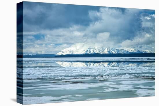 Icy Summer Landscape at Yellowstone Lake, Wyoming-Vincent James-Premier Image Canvas