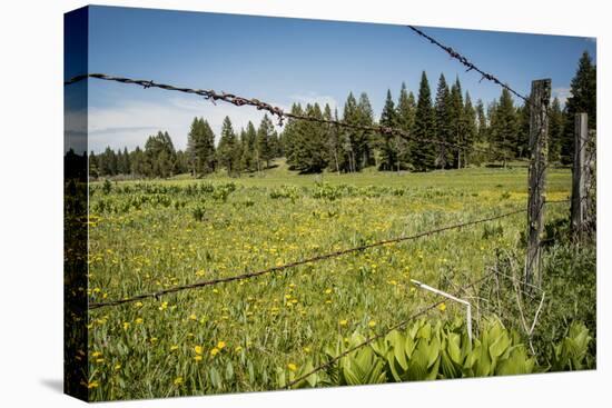 Idaho, Camas Prairie, Field and Barbed Wire Fence-Alison Jones-Premier Image Canvas