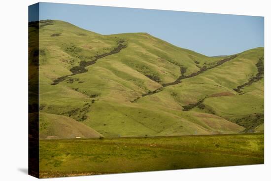 Idaho, Hillside with Small Creeks That Flow into the Salmon River-Alison Jones-Premier Image Canvas