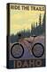 Idaho - Mountain Bike Scene-Lantern Press-Stretched Canvas