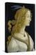 Idealized Portrait of a Lady (Allegedly Simonetta Vespucci), about 1480-Sandro Botticelli-Premier Image Canvas