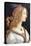 Idealized Portrait of a Lady (Portrait of Simonetta Vespucc), C. 1480-Sandro Botticelli-Premier Image Canvas