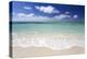 Idyllic Beach Scene with Blue Sky, Aquamarine Sea and Soft Sand, Ile Aux Cerfs-Lee Frost-Premier Image Canvas