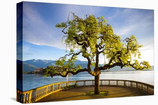 Idyllic Lakeside Park and Isola Bella, Borromean Islands, Lake Maggiore, Piedmont, Italy-Doug Pearson-Premier Image Canvas