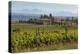 Idyllic Vineyard in La Rioja, Spain, Europe-Martin Child-Premier Image Canvas