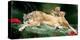 If You Were A Lion Cub-Nancy Tillman-Stretched Canvas
