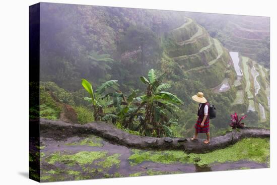 Igorot Woman, Rice Terraces, Agriculture, Philippine Cordilleras, Philippines-Keren Su-Premier Image Canvas