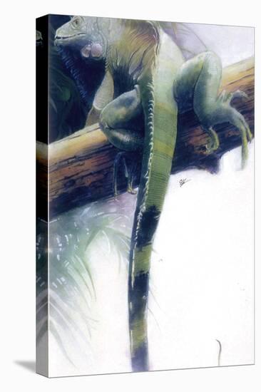 Iguana-Durwood Coffey-Premier Image Canvas