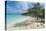 Iguanas on a White Sand Beach, Exumas, Bahamas, West Indies, Caribbean, Central America-Michael Runkel-Premier Image Canvas