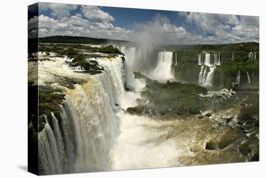 Iguazu Falls-Neale Cousland-Premier Image Canvas