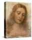 Il Redentore-Leonardo da Vinci-Stretched Canvas
