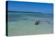 Ile Des Pins, New Caledonia, Melanesia, South Pacific-Michael Runkel-Premier Image Canvas