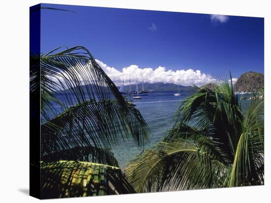 Iles Des Saintes, Guadeloupe-null-Premier Image Canvas