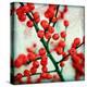 Ilex I-James Guilliam-Stretched Canvas