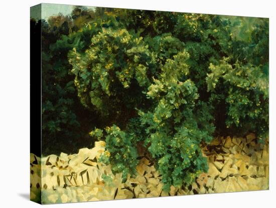 Ilex Wood, Majorca, 1908-John Singer Sargent-Premier Image Canvas