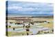 Illinois River Meanders through Arapaho National Wildlife Refuge, North Park near Walden, Colorado,-PixelsAway-Premier Image Canvas