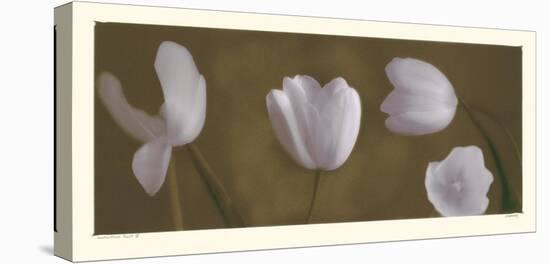Illuminating Tulips IV-Judy Mandolf-Stretched Canvas