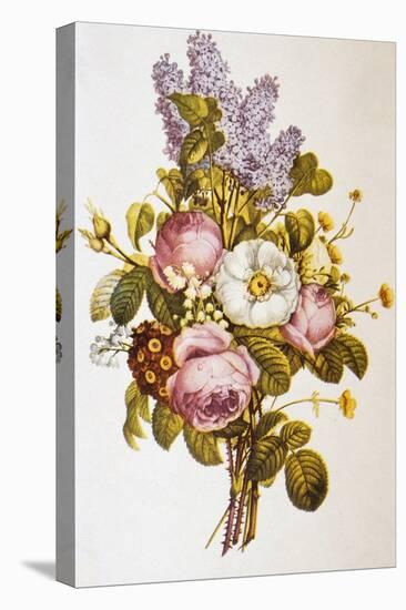 Illustration Depicting a Bouquet of Roses and Lilacs-Bettmann-Premier Image Canvas