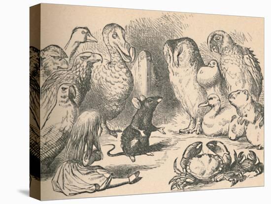 'Illustration for the chapter 'a Caucus-Race and a long tail'. Alice and various creatures, such as-John Tenniel-Premier Image Canvas