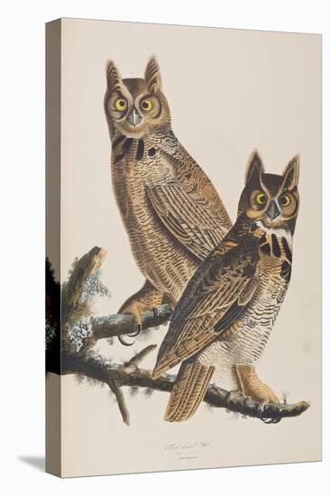 Illustration from 'Birds of America', 1827-38-John James Audubon-Premier Image Canvas