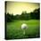 Illustration of a Golf Ball on a Green Meadow-olly2-Premier Image Canvas