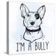 Illustration of Bull Terrier with Funny Slogan.-Katja Gerasimova-Stretched Canvas