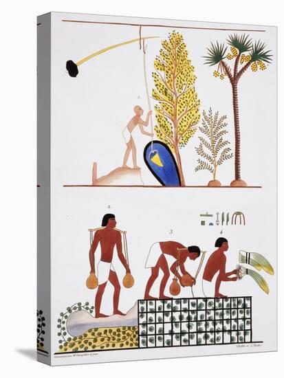Illustration of Egyptian Frescoes of a Well and a Garden by Frederic Cailliaud-Stapleton Collection-Premier Image Canvas