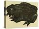 Illustration of English Tales Folk Tales and Ballads, a Toad-null-Premier Image Canvas