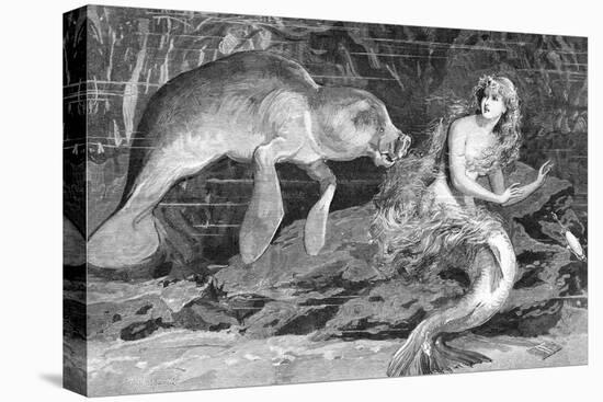 Illustration of Meeting between Manatee and Mermaid-null-Premier Image Canvas