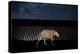 Image of a wild Jaguar projected on to US-Mexico border wall-Alejandro Prieto-Premier Image Canvas