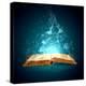 Image of Opened Magic Book with Magic Lights-Sergey Nivens-Premier Image Canvas