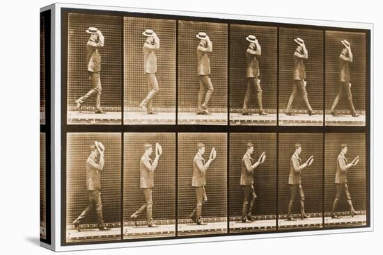 Image Sequence of a Man with a Hat Walking, 'Animal Locomotion' Series, C.1887-Eadweard Muybridge-Premier Image Canvas