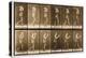 Image Sequence of a Man with a Hat Walking, 'Animal Locomotion' Series, C.1887-Eadweard Muybridge-Premier Image Canvas