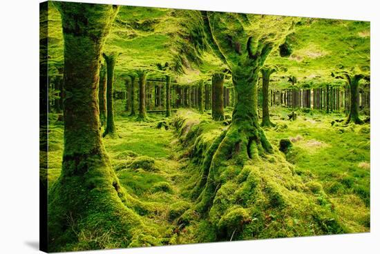 Imagine Gougane Barra-Jan Michael Ringlever-Stretched Canvas