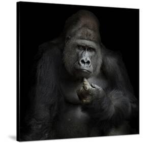 IMHO-Antje Wenner-Braun-Stretched Canvas