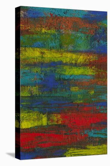 Immaterial I-Renee W. Stramel-Stretched Canvas