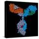 Immunoglobulin G Antibody-PASIEKA-Premier Image Canvas