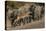 Impala and African elephants, Mashatu Reserve, Botswana-Art Wolfe-Premier Image Canvas