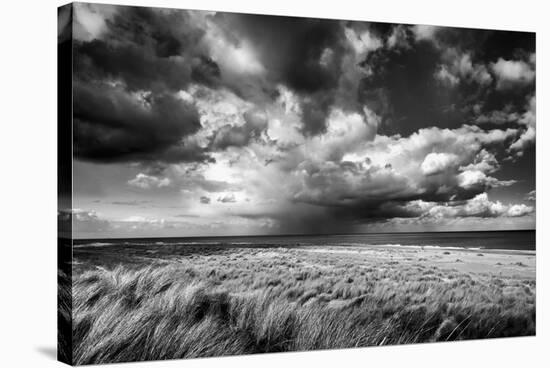 Impending Storm-Steve Docwra-Stretched Canvas