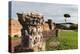 Imperial Palace at Forum Romanum, Palatine Hill, Rome, Lazio, Italy, Europe-Carlo-Premier Image Canvas