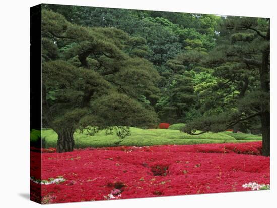 Imperial Palace Garden, Tokyo, Japan-Rob Tilley-Premier Image Canvas