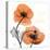 Impossible Iceland Poppy-Albert Koetsier-Stretched Canvas