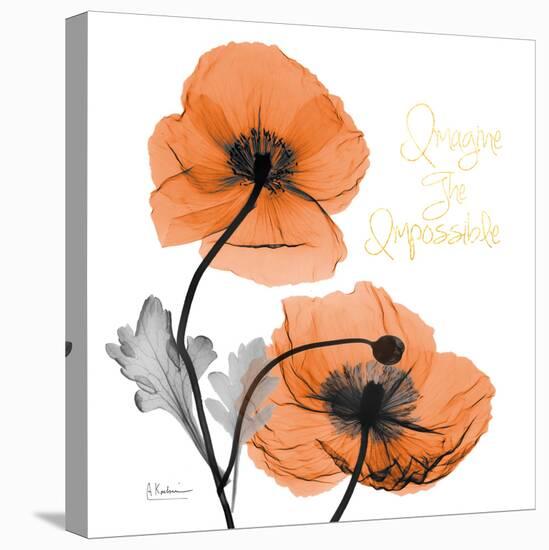 Impossible Iceland Poppy-Albert Koetsier-Stretched Canvas